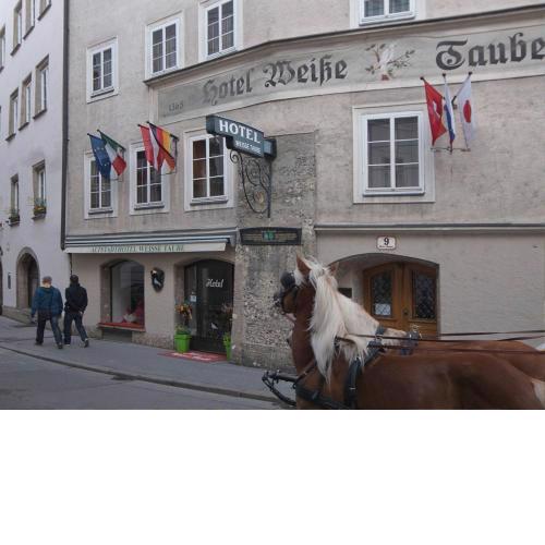 Altstadthotel Weisse Taube