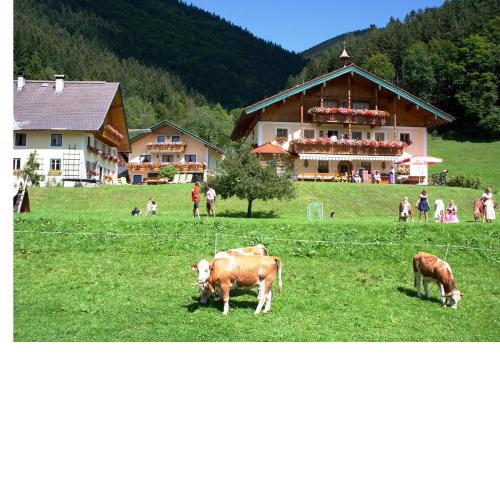 Am Ferienbauernhof Schmiedbauer com Salzkammergut