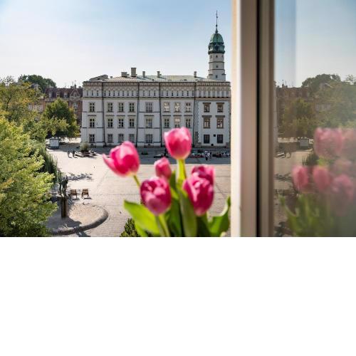 Amazing apartament in the heart of Kazimierz