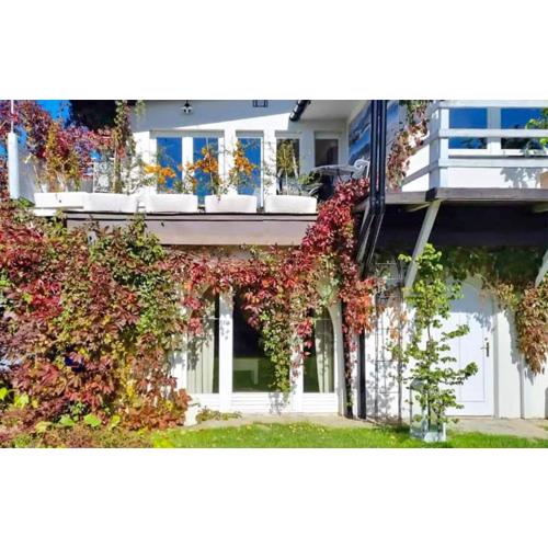 Amazing Apartment In Murzasichle