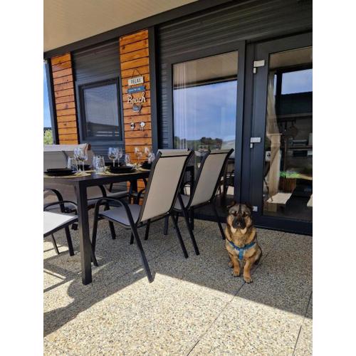 ANDESA Mobile Home Pirovac- Perfect vacation in a campsite with a pool, few steps from the sea!