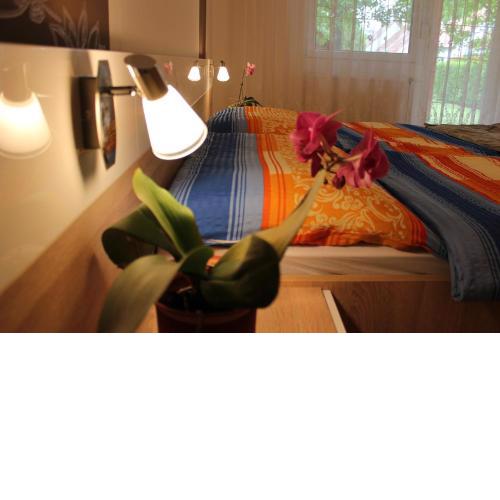 Anita Apartman