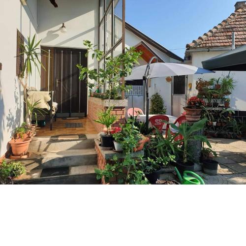 Anna Apartman