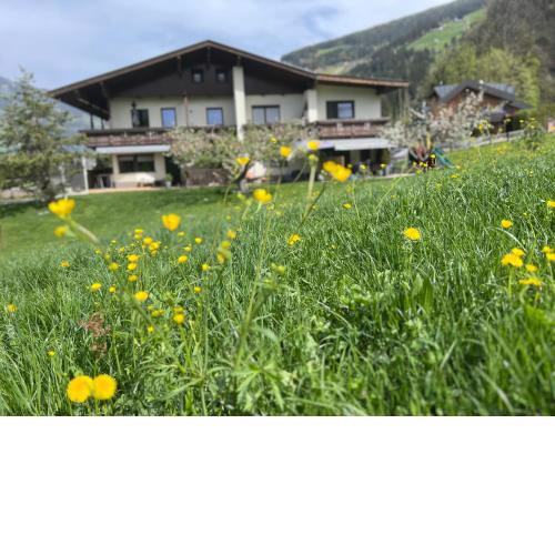Apart Bergblick