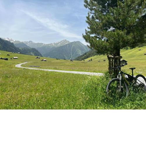 Apart bieles - alpine active living