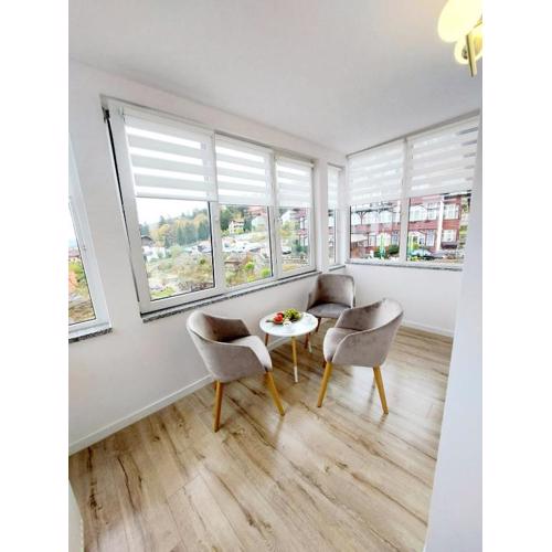 APART KARKONOSZE - Klimatyzowany Apartament Charlotte Karpacz na deptaku z parkingiem w cenie
