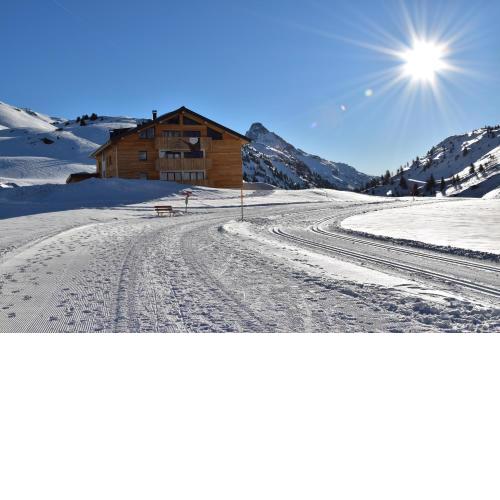 apart-wolf-arlberg