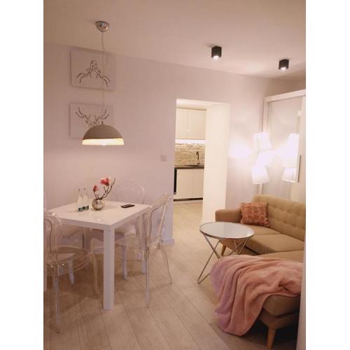 Apartament 100 Apartamenty No 1 Ogród w Centrum