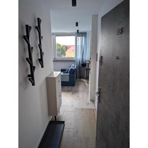 Apartament 16