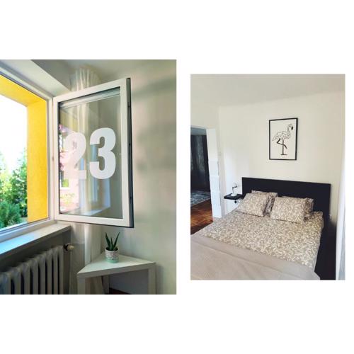 Apartament 23