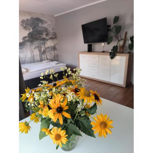 Apartament 25 Mikołajki
