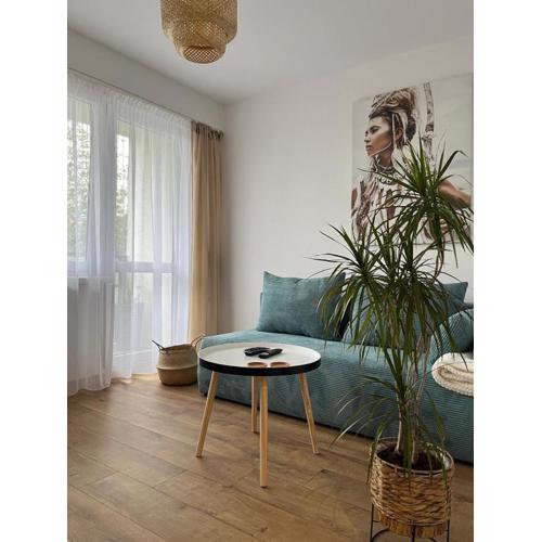 Apartament 26
