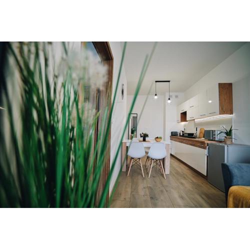 Apartament 30tka by Housine