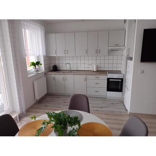 Apartament 41
