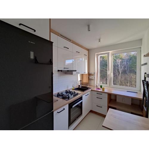 Apartament 45m2 z widokiem na las
