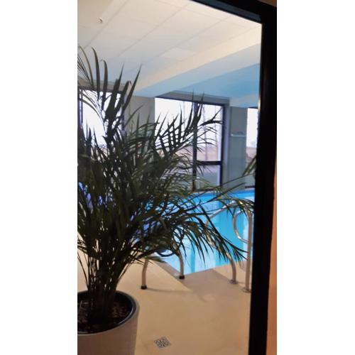 Apartament 505