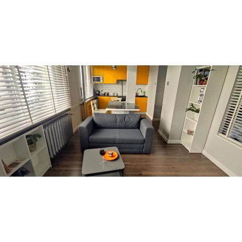 Apartament 7 PIĘTRO (self check-in)
