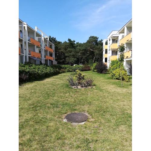 Apartament Aldona w Jantarze