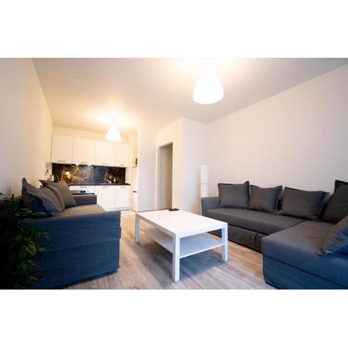 Apartament Alpha