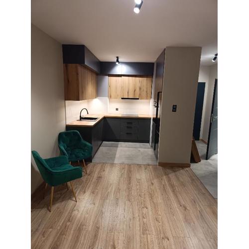 Apartament Apart Kutno