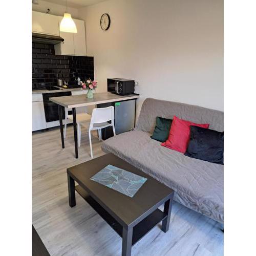 Apartament AQUA Centrum Borowska