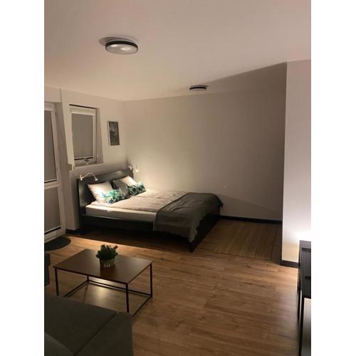 Apartament Arena 5