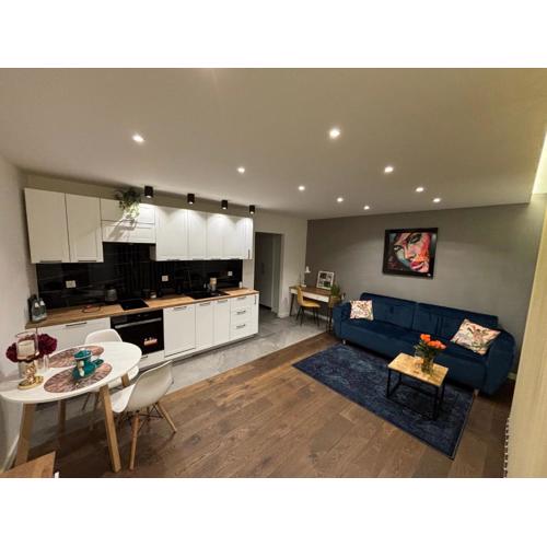 Apartament Art Premium Toruń