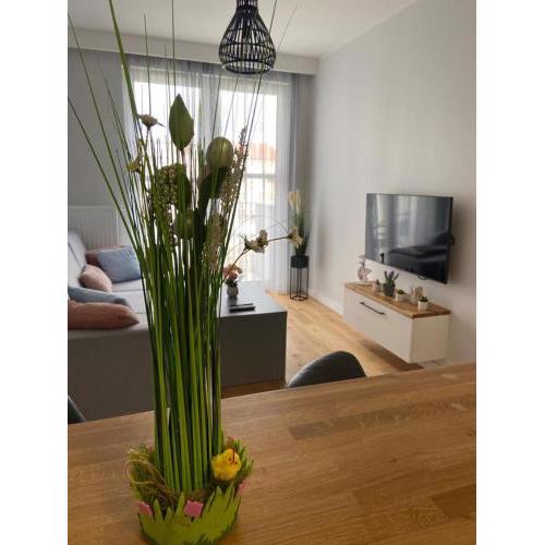 APARTAMENT AURA RYBAKI