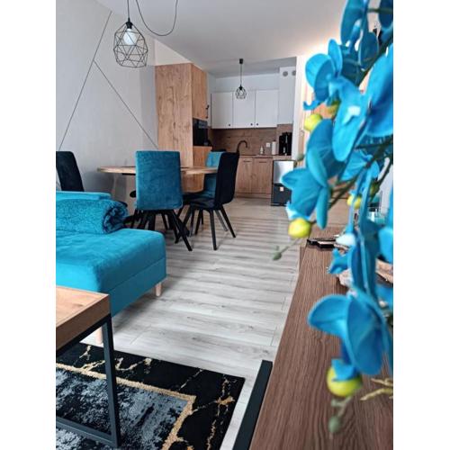 Apartament BAJKA - Kilińskiego 17 - CENTRUM