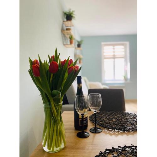 Apartament Bankowa