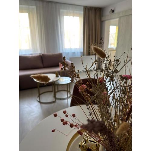 Apartament Biały Kamień