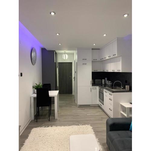 Apartament Bielskiego 44a
