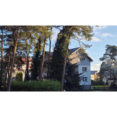 Apartament Błękitnik
