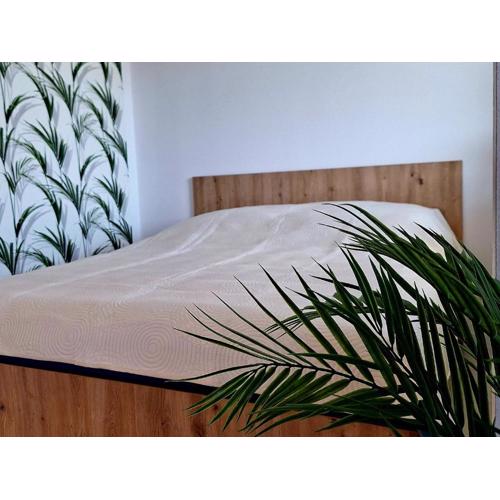 Apartament Blue Polana Szaflarska
