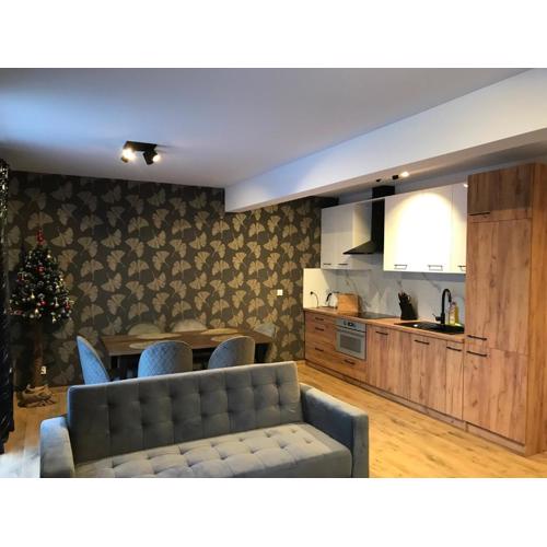 Apartament Brązowy 12/1