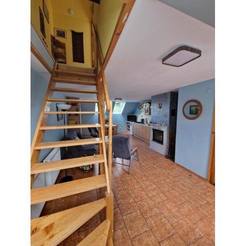 Apartament Buczyna