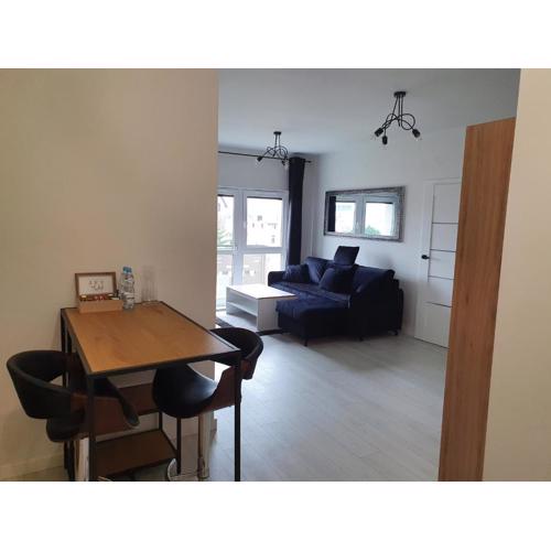 Apartament Business & Parking Sienkiewicza