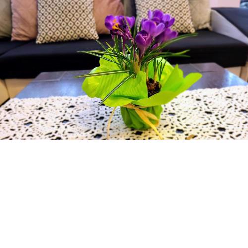 Apartament Bystra Woda 28 z garażem
