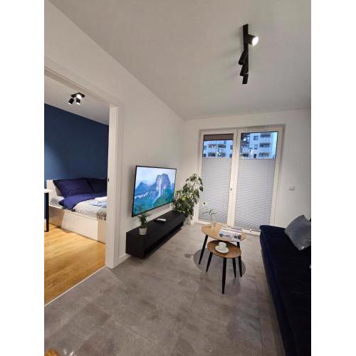 Apartament Centralna Park