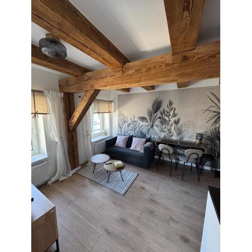 Apartament Centro 9