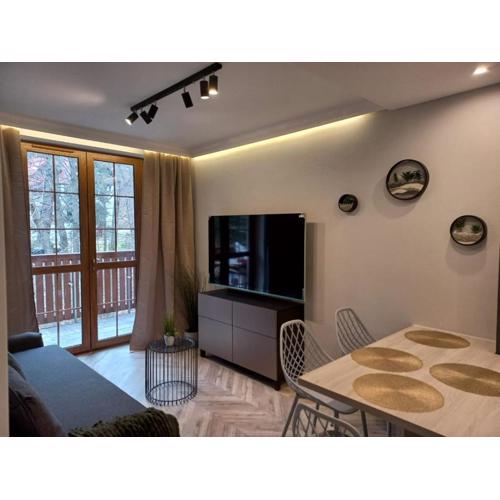 Apartament Centrum - Szum potoku