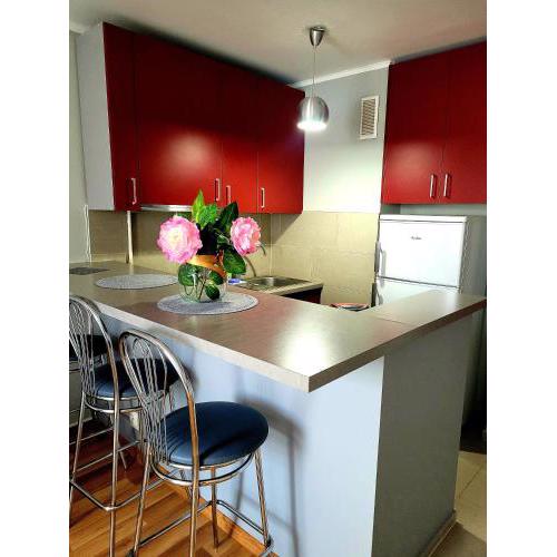 Apartament Centrum Jana Pawła II