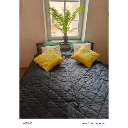 Apartament Centrum Lublin