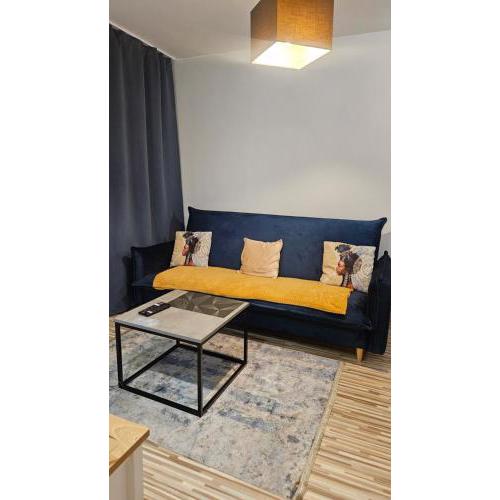 Apartament Centrum Rondo ONZ