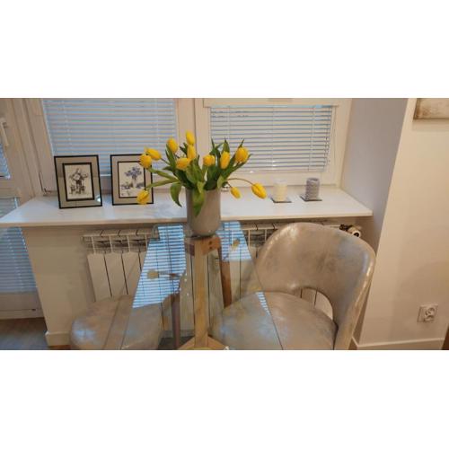 Apartament Centrum