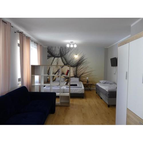 Apartament Centrum