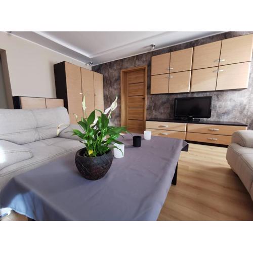 Apartament Cieplicki