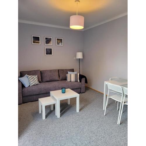 Apartament City Center