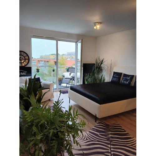 Apartament city centre Krakow