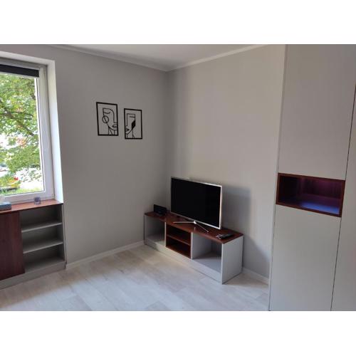 Apartament Curie